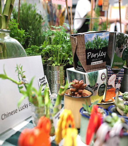 Foto - Cape Town Food Markets Experience